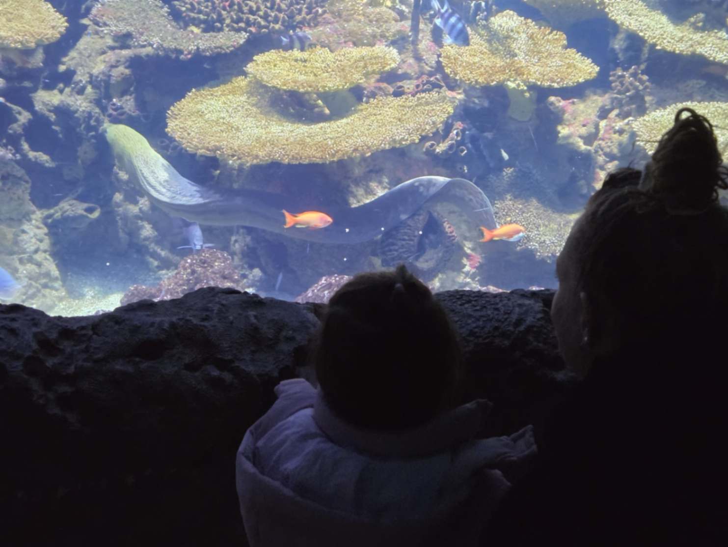 Uitjes met de kinderen