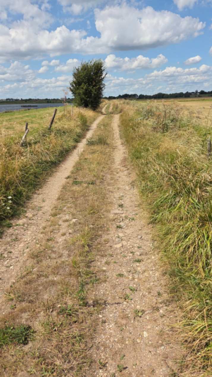 Van Oost naar West - dag 1 image 7